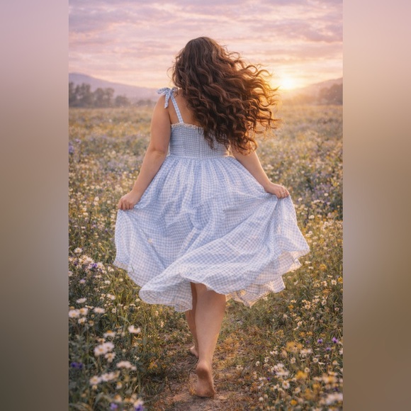 JessaKae Blue Gingham & Lace Priscilla Organza Midi Dress, 1x, NWT! - Picture 6 of 16